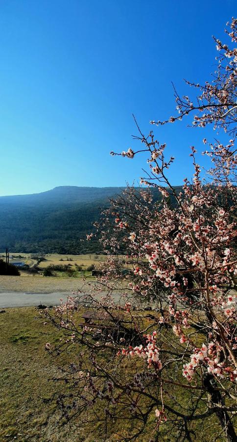 Auberge Collective Cozy&Family La Palud-sur-Verdon Εξωτερικό φωτογραφία